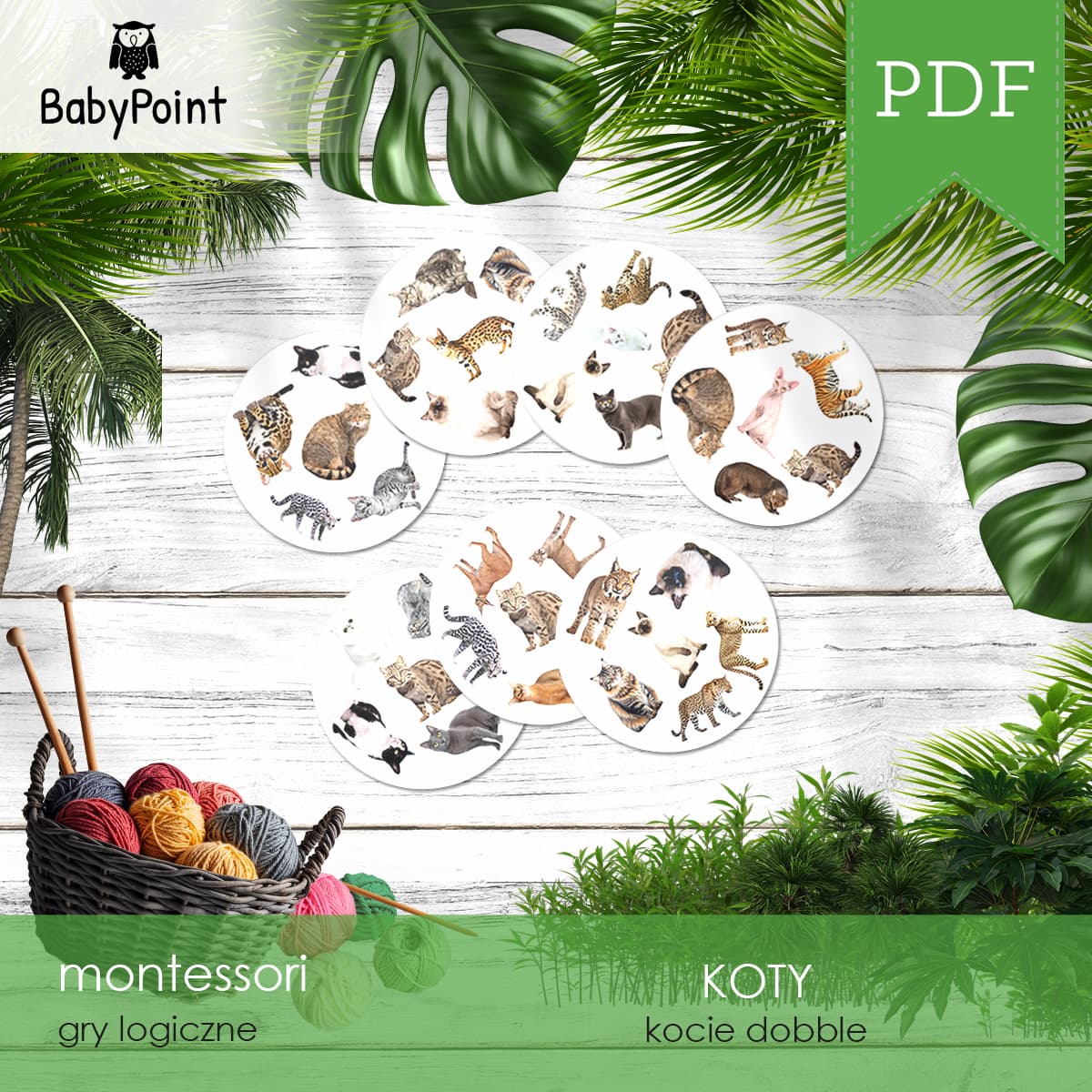 KOTY - Dobble
