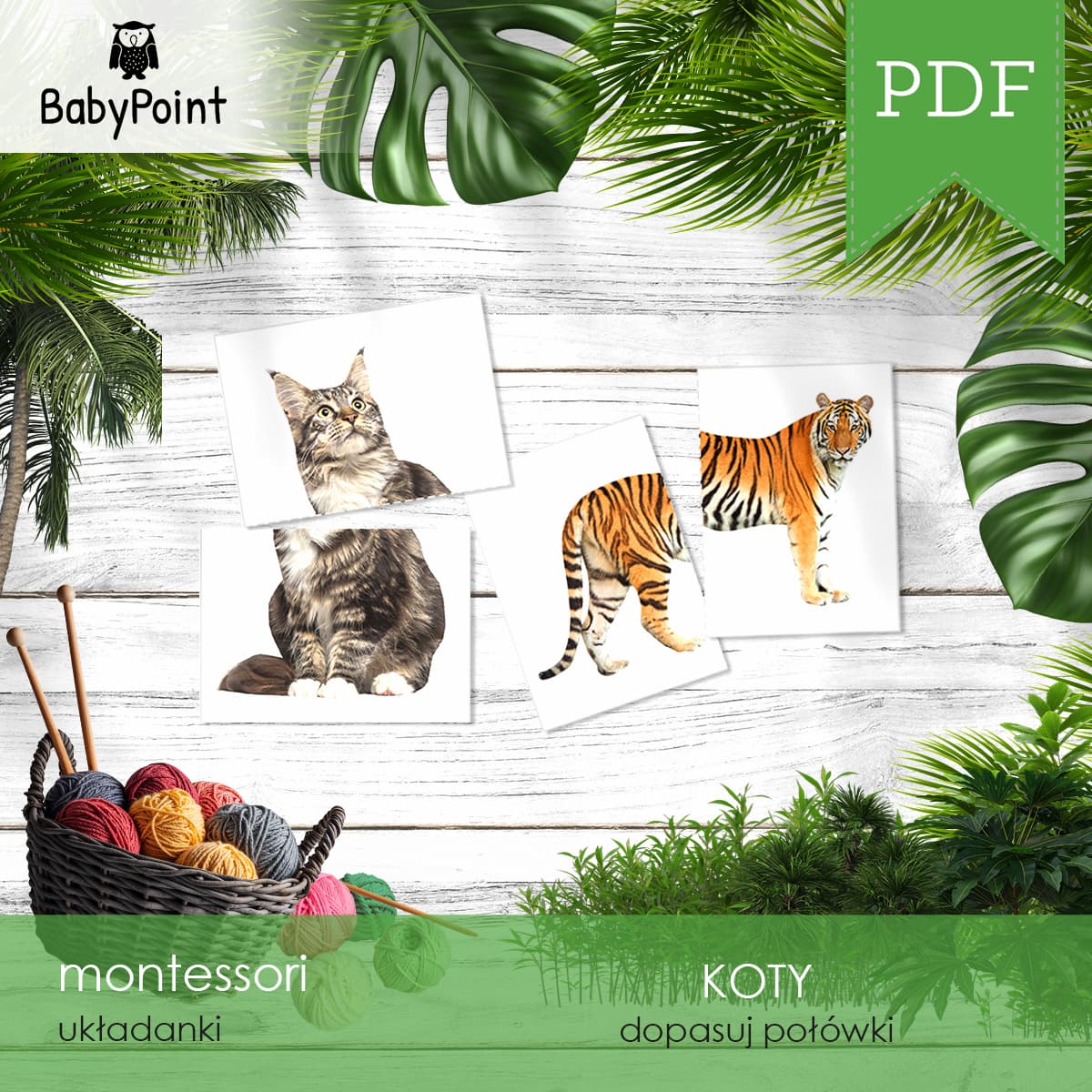 KOTY - Dopasuj