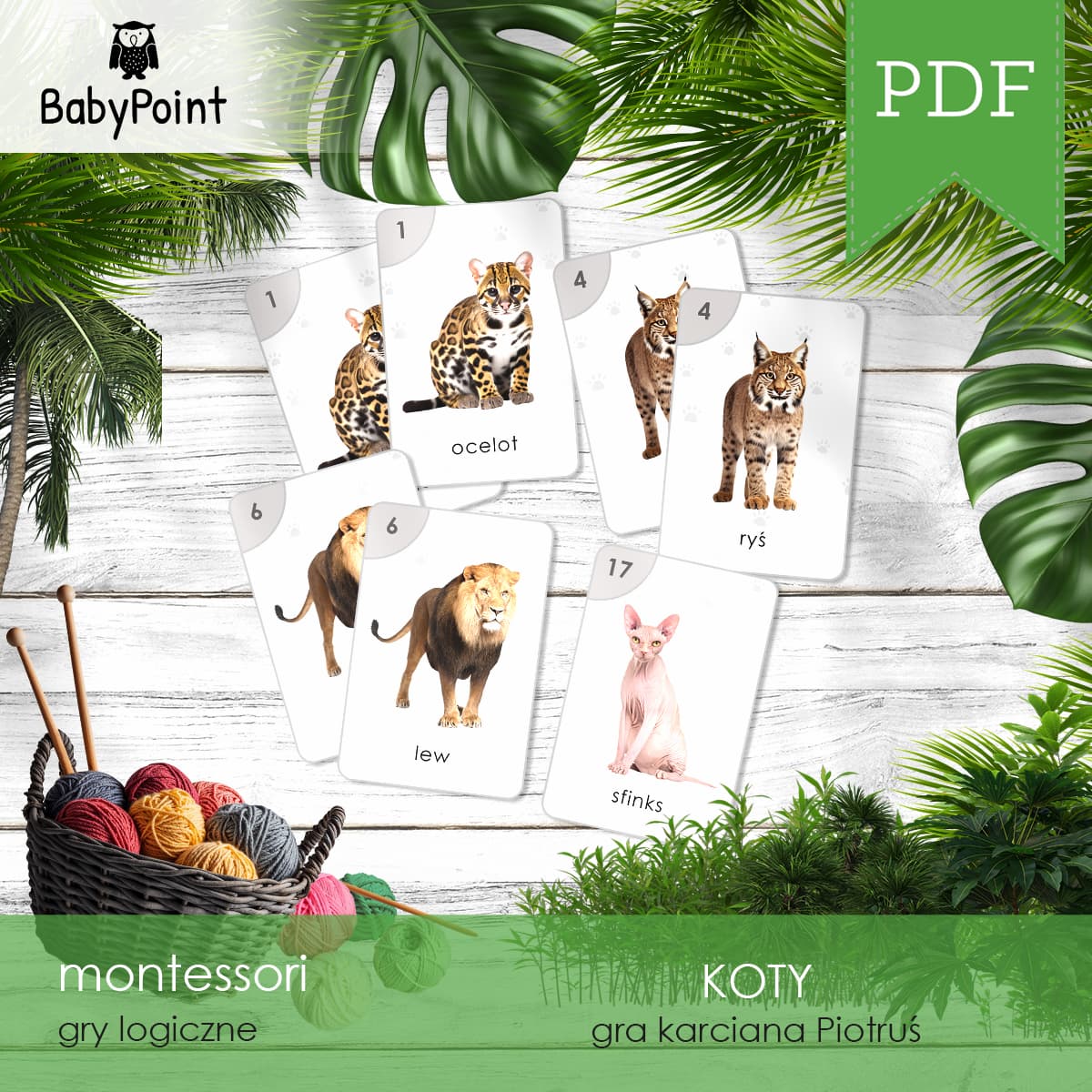 KOTY - Karty do gry