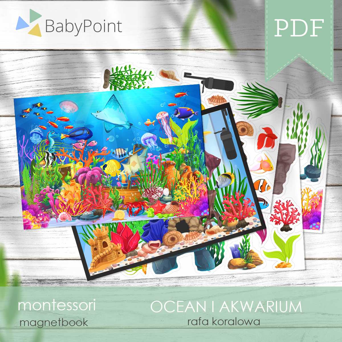 Ocean i akwarium