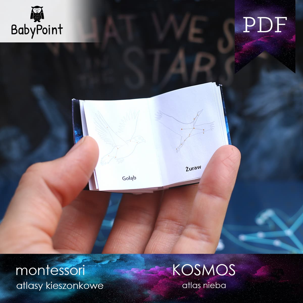KOSMOS - Miniatlas nieba 4
