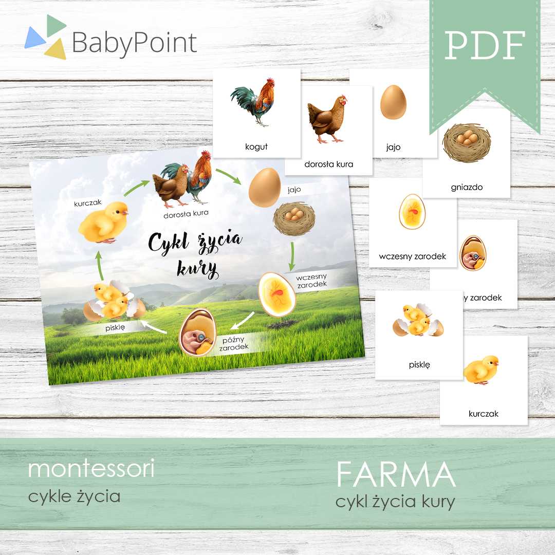 Farma 4