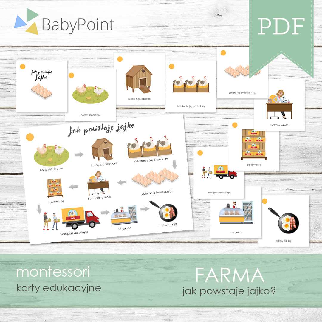 Farma 6
