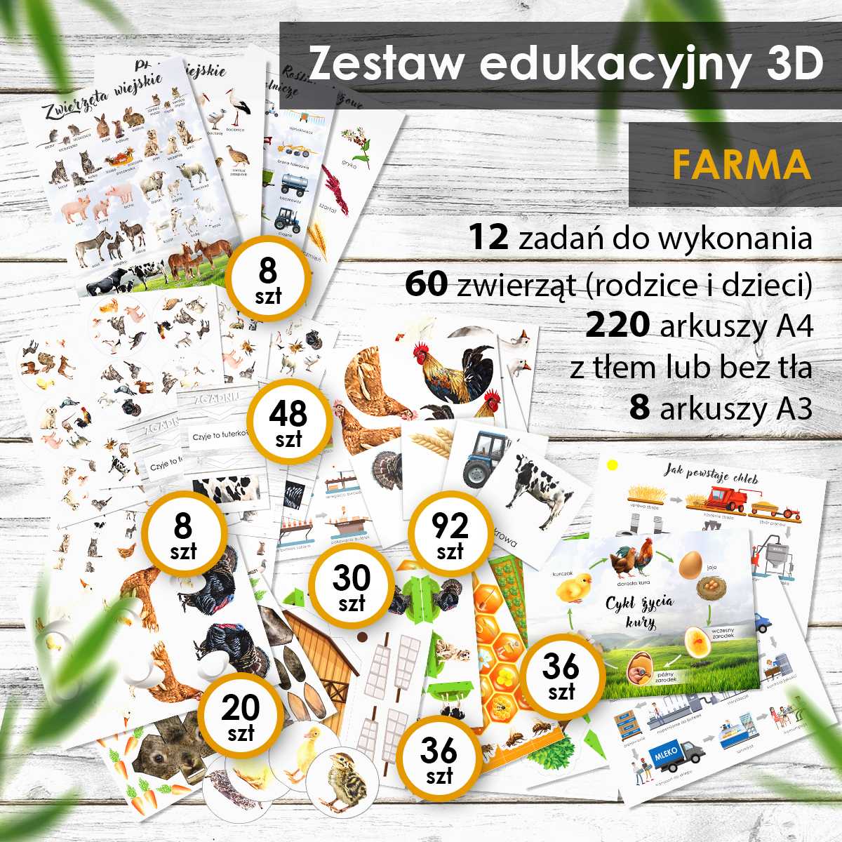 Farma