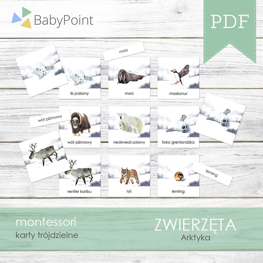 Zwierzęta arktyki