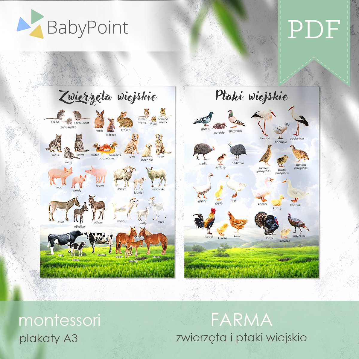 Farma 2