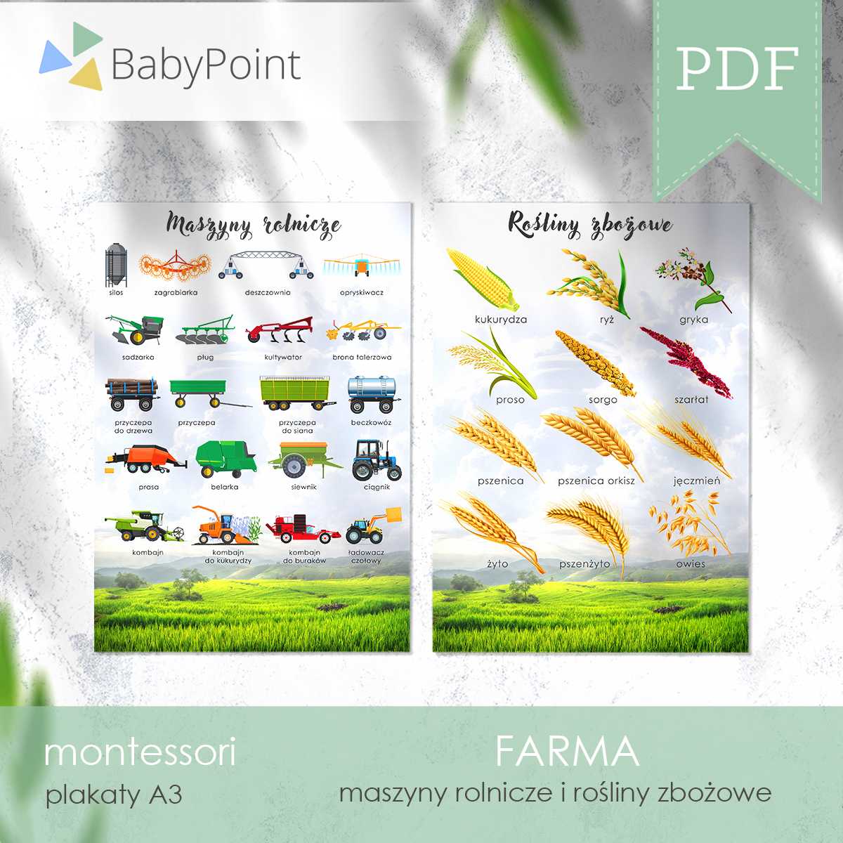 Farma 3