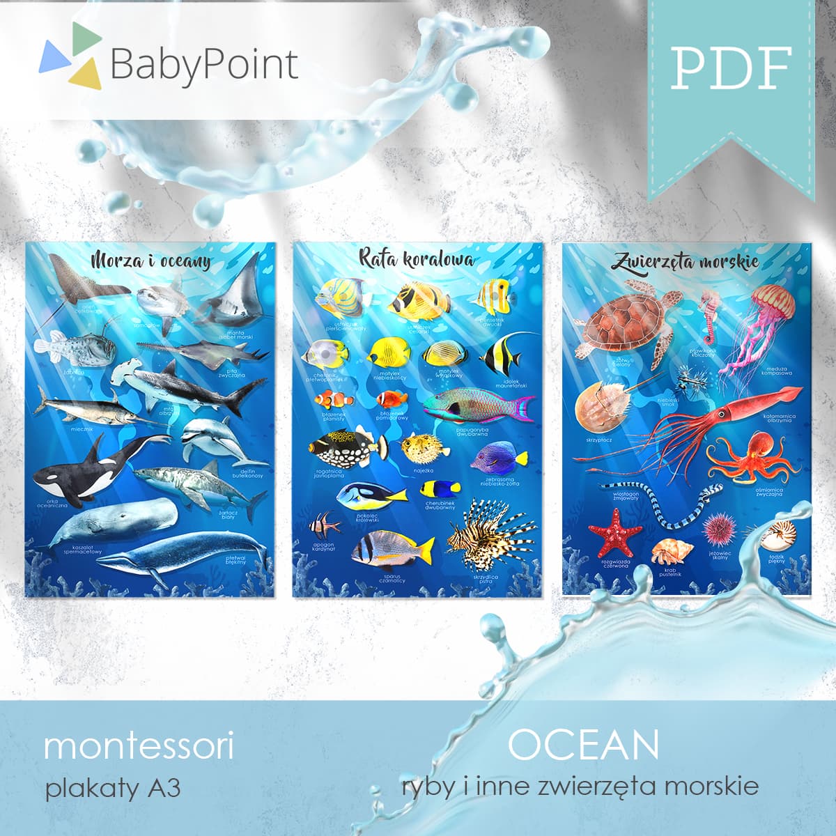 Ocean 2
