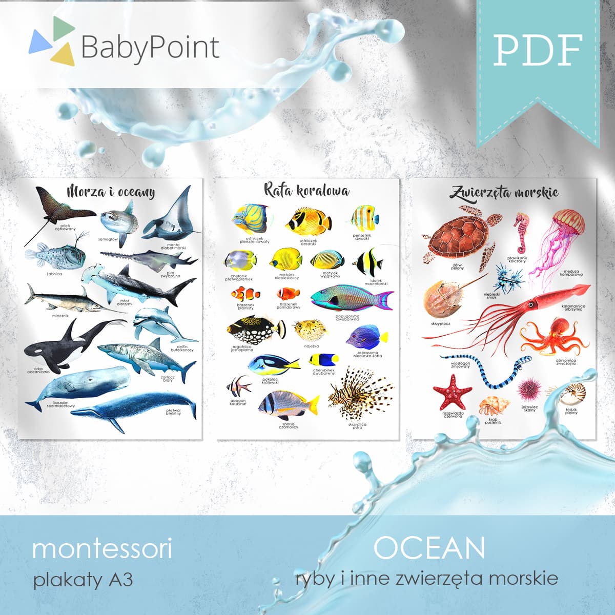Ocean 3