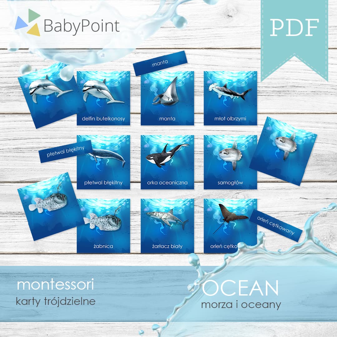 Ocean 4