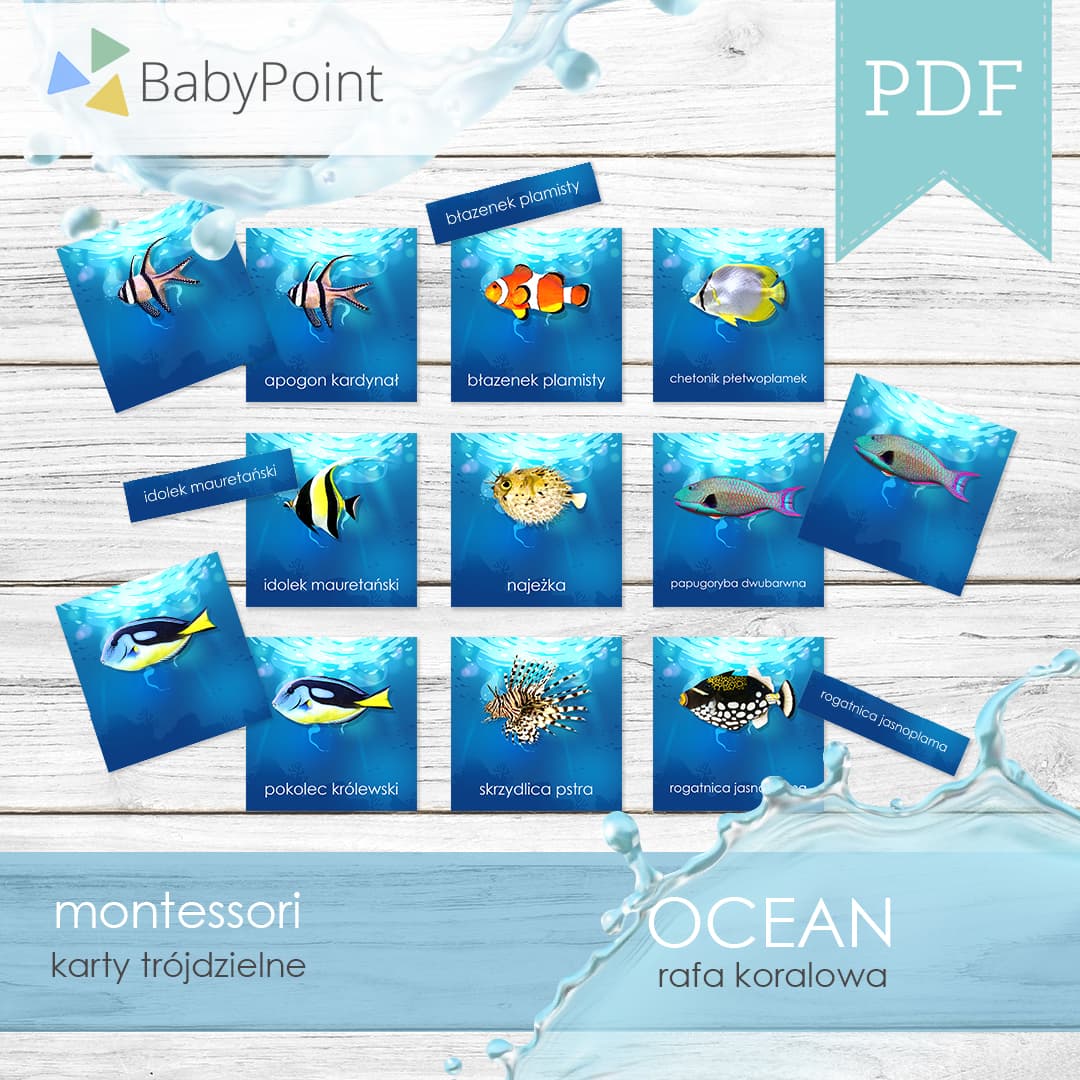 Ocean 6
