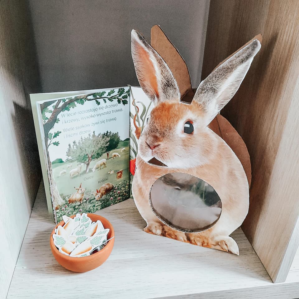 Królik do karmienia 2