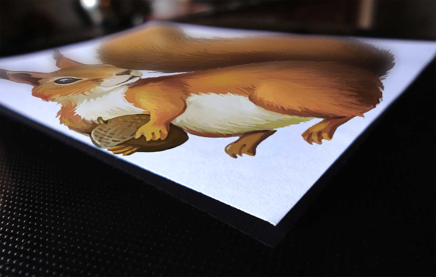 Wiewiórka do karmienia 2