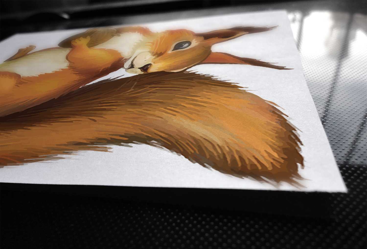 Wiewiórka do karmienia 3