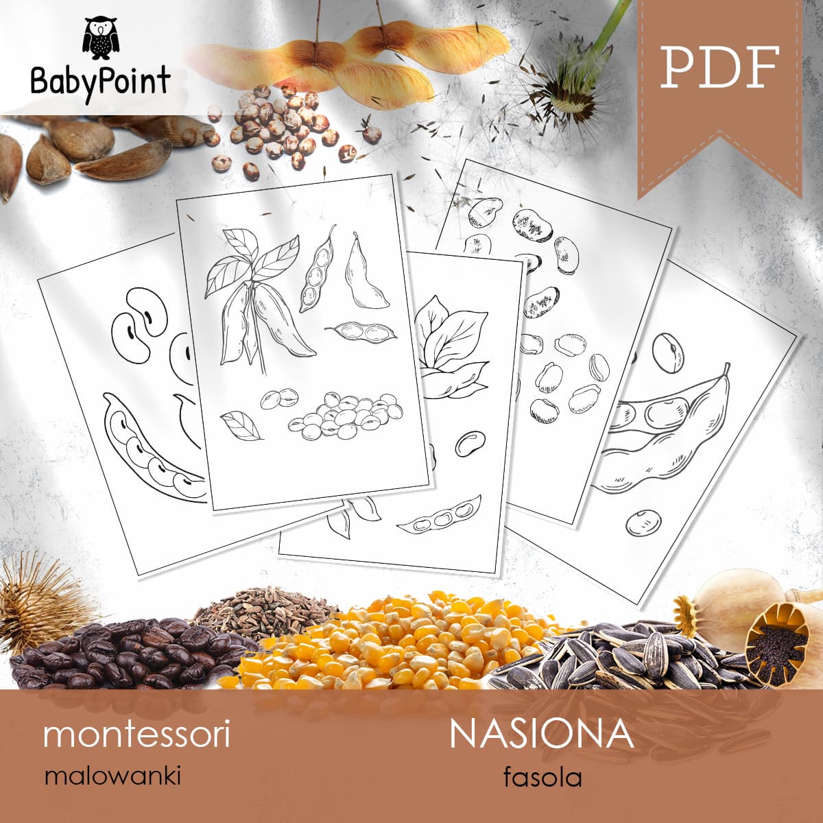 Fasola