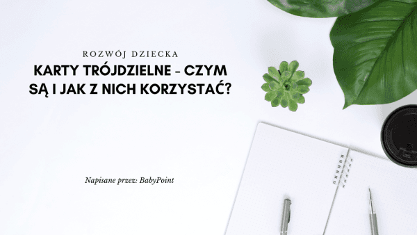 Karty trójdzielne – czym są i jak z nich korzystać?