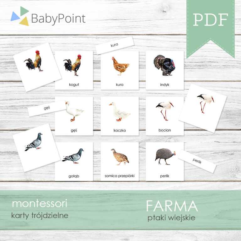 Karty Edukacyjne Montessori Do Druku Pomoce Montessori do Druku - Materiały Montessori | BabyPoint