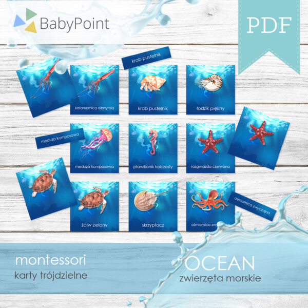 Karty Edukacyjne Montessori Do Druku Karty trójdzielne Montessori (pdf) do druku - BabyPoint
